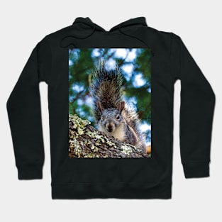 Winking Squirrel Hoodie